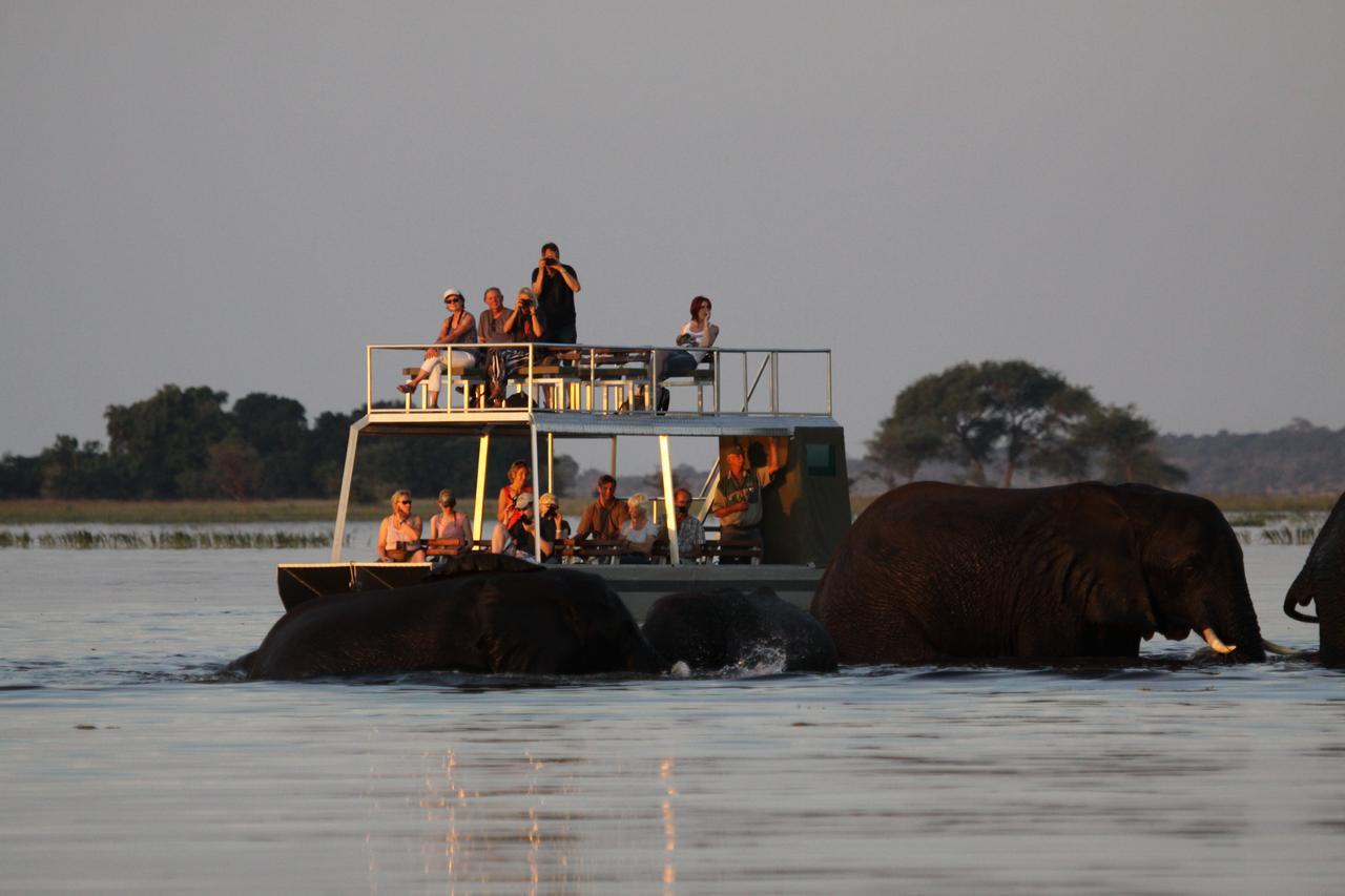 Chobe River Camp Ngoma Luaran gambar