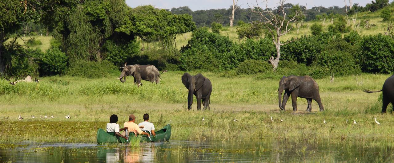 Chobe River Camp Ngoma Luaran gambar